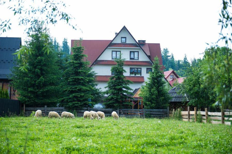 Osrodek Wczasowo-Kolonijny Gron Biały Dunajec Exterior foto